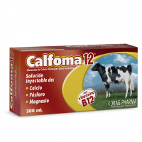 CALFOMA 12 