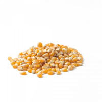 MAIZ GRANO